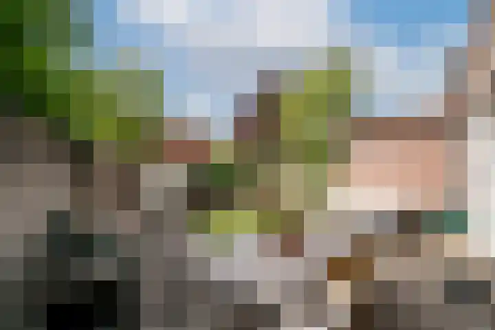 Vianenstraat 36 Oss thumbnail 29