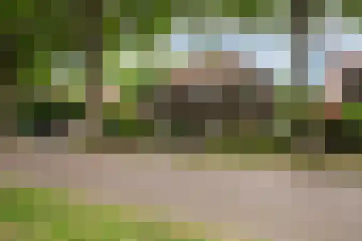Vianenstraat 36 Oss thumbnail 5