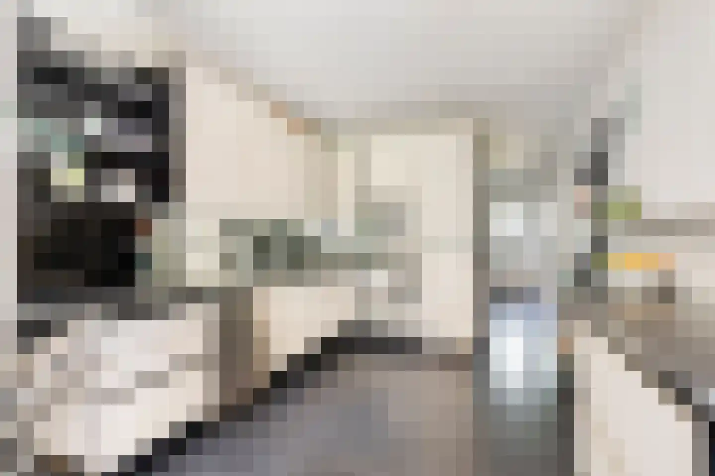 Vianenstraat 38 Oss thumbnail 11
