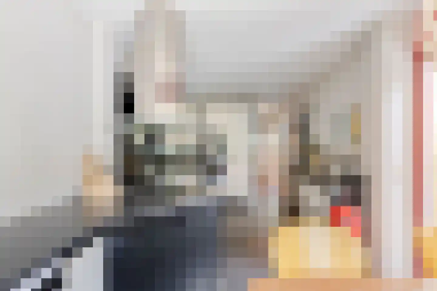 Vianenstraat 38 Oss thumbnail 13