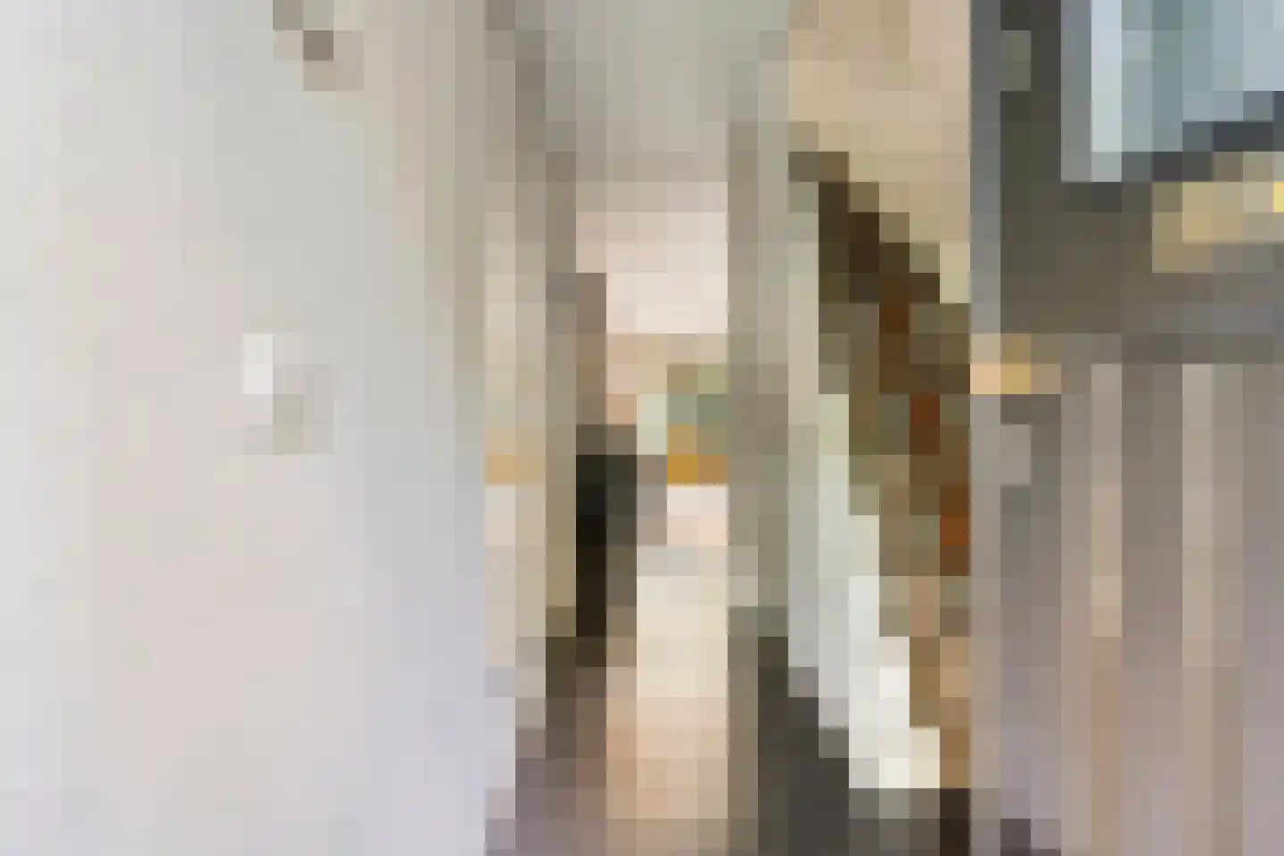 Vianenstraat 38 Oss thumbnail 15