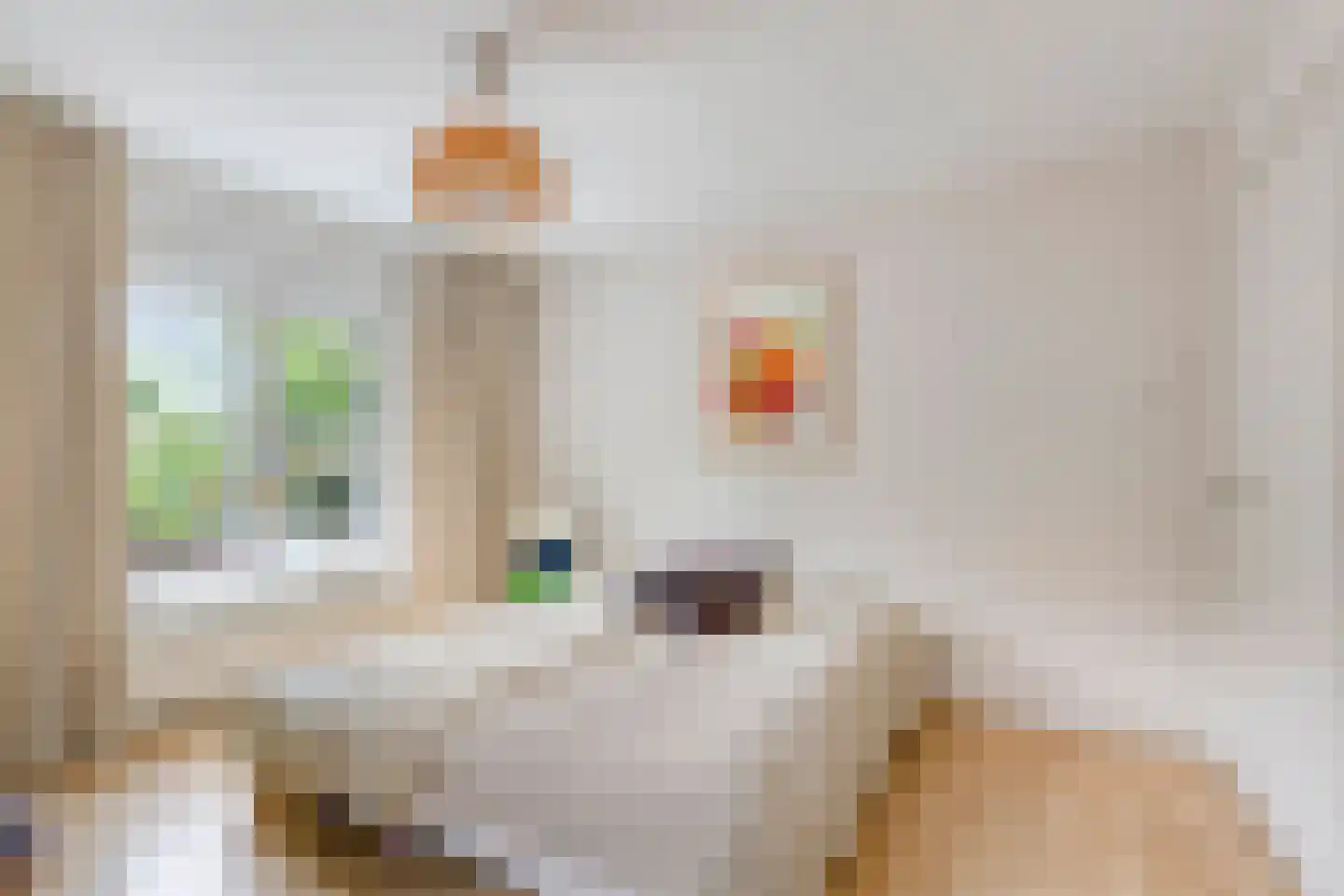 Vianenstraat 38 Oss thumbnail 16