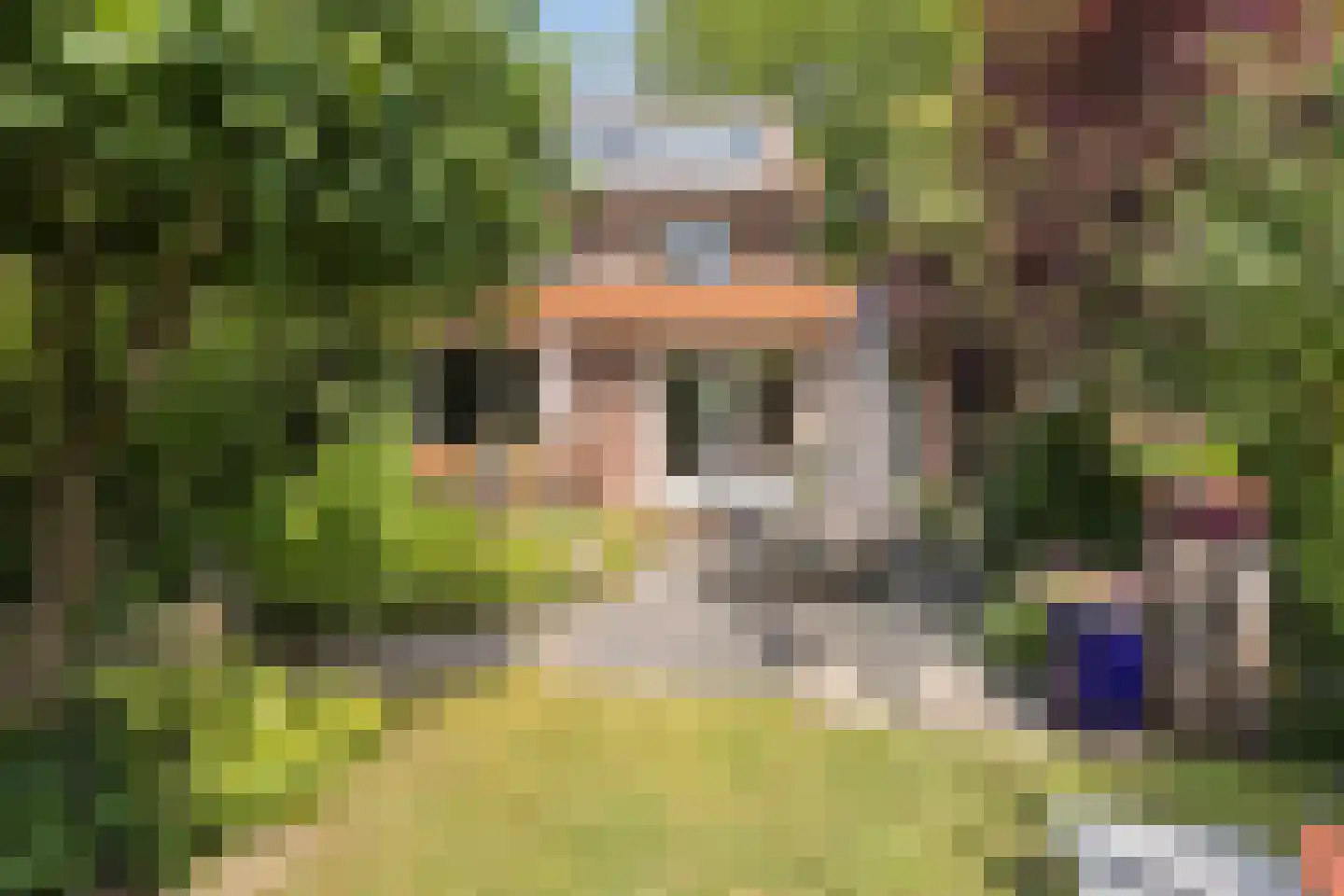 Vianenstraat 38 Oss thumbnail 27