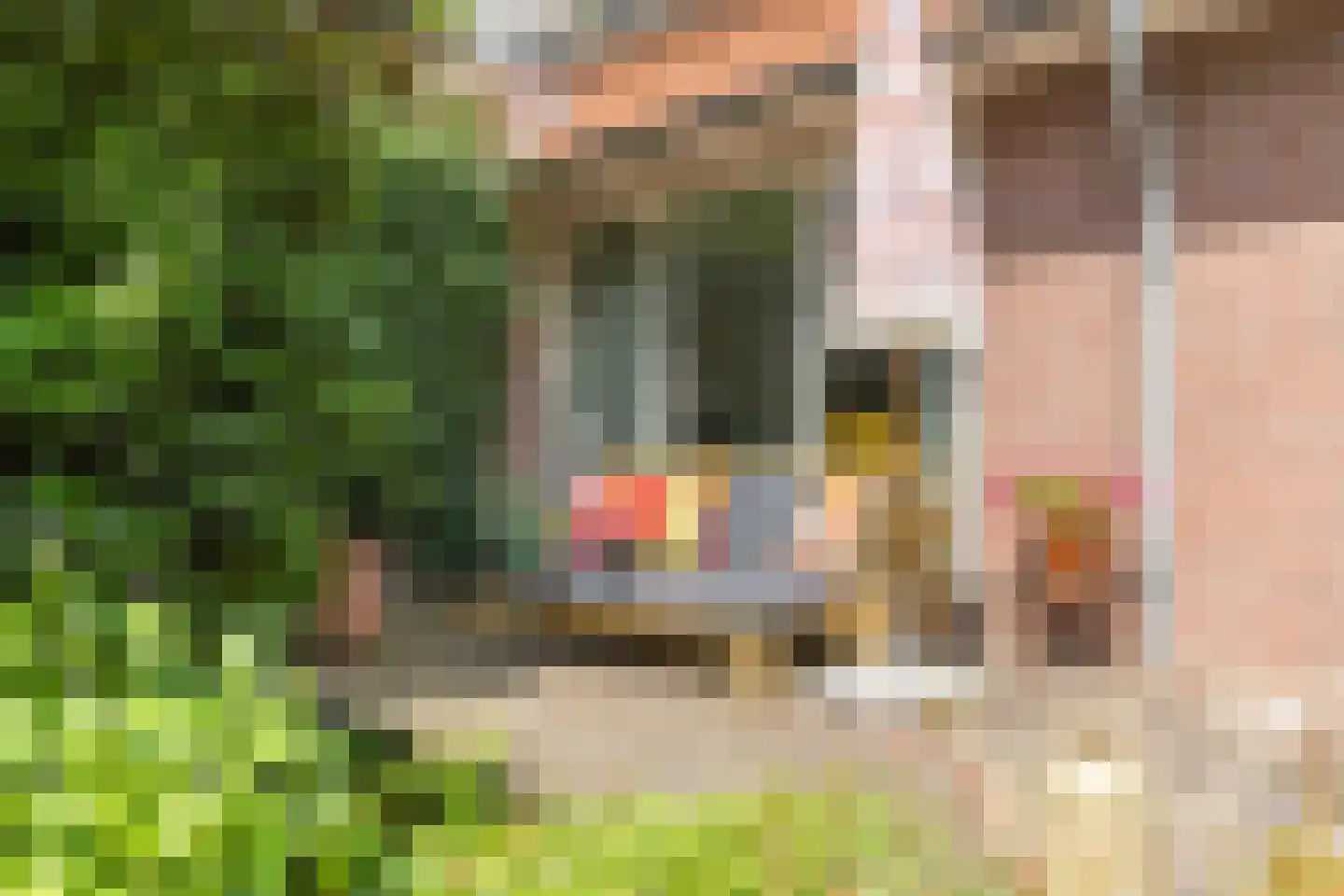 Vianenstraat 38 Oss thumbnail 28