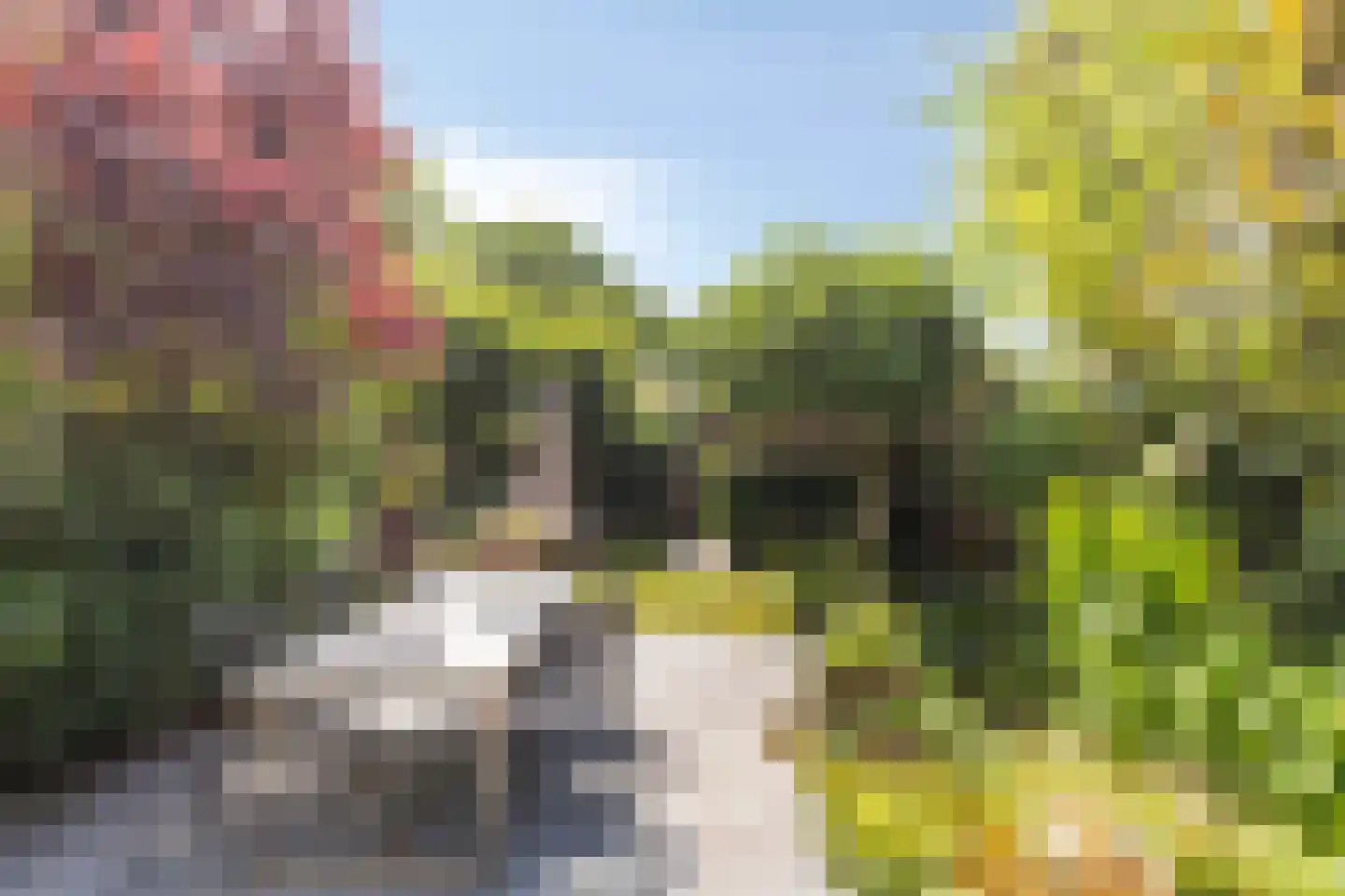Vianenstraat 38 Oss thumbnail 29