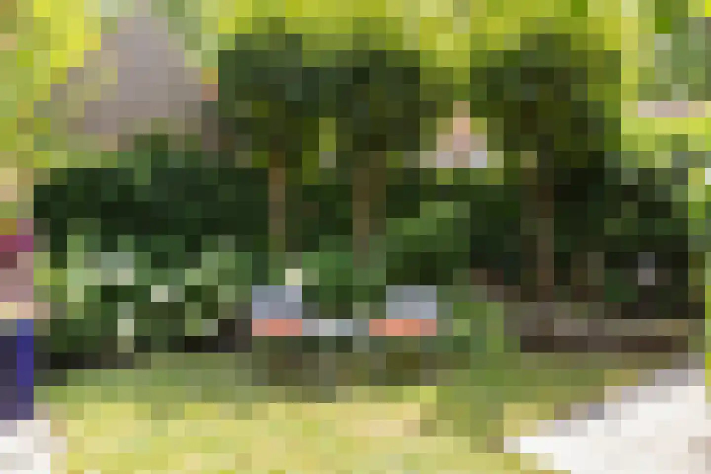 Vianenstraat 38 Oss thumbnail 30