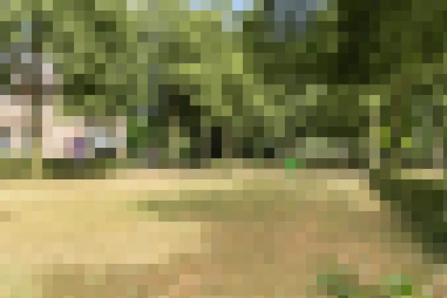 Vianenstraat 38 Oss thumbnail 38
