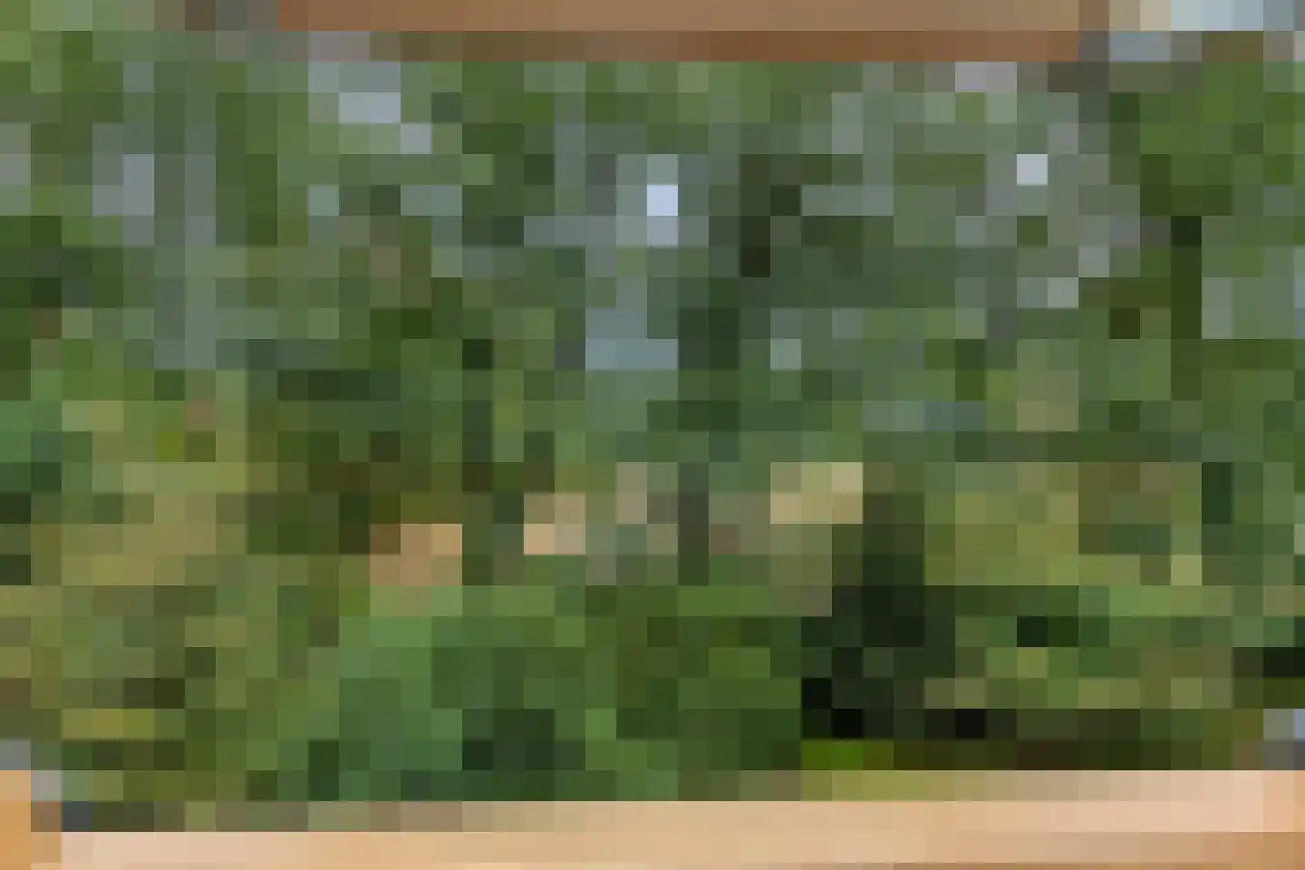 Vianenweg 160 14 Holten thumbnail 19