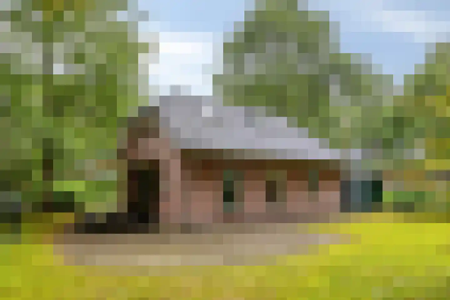Vianenweg 160 14 Holten thumbnail 20