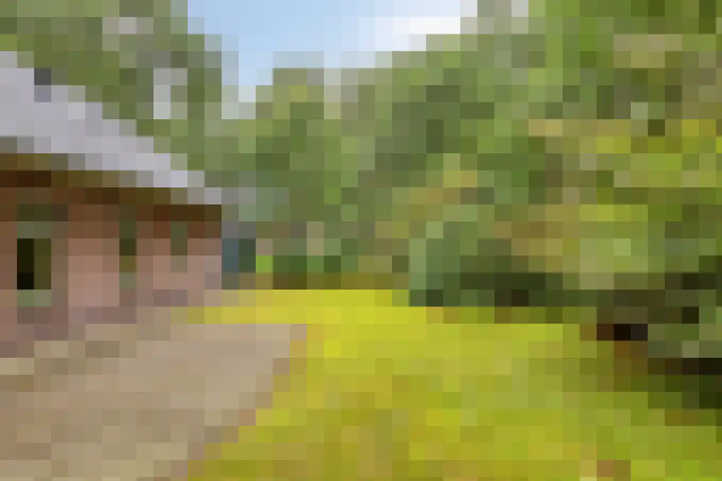 Vianenweg 160 14 Holten thumbnail 21