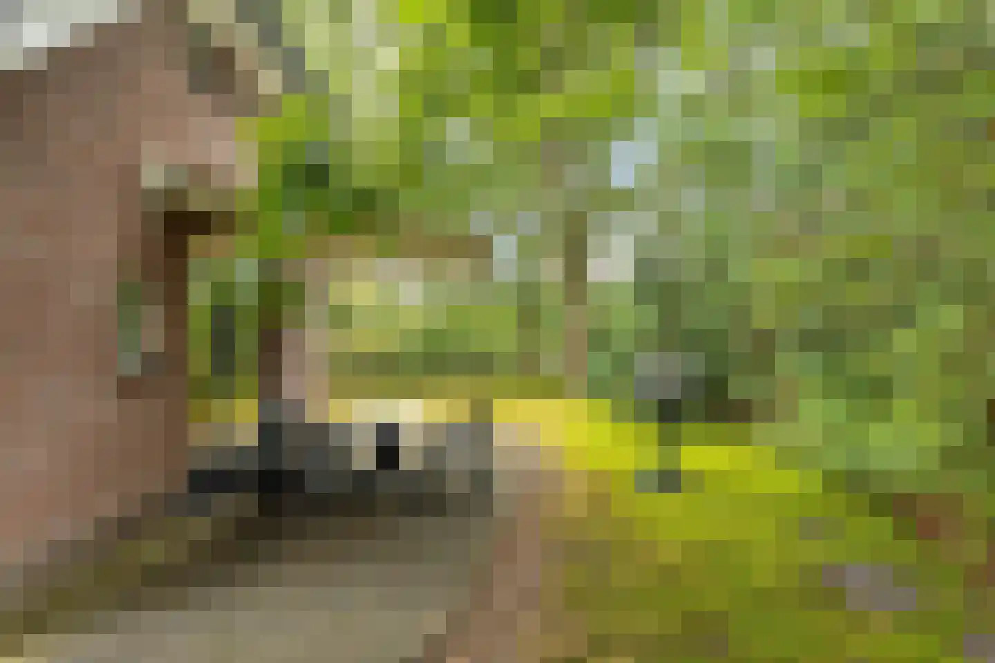 Vianenweg 160 14 Holten thumbnail 23