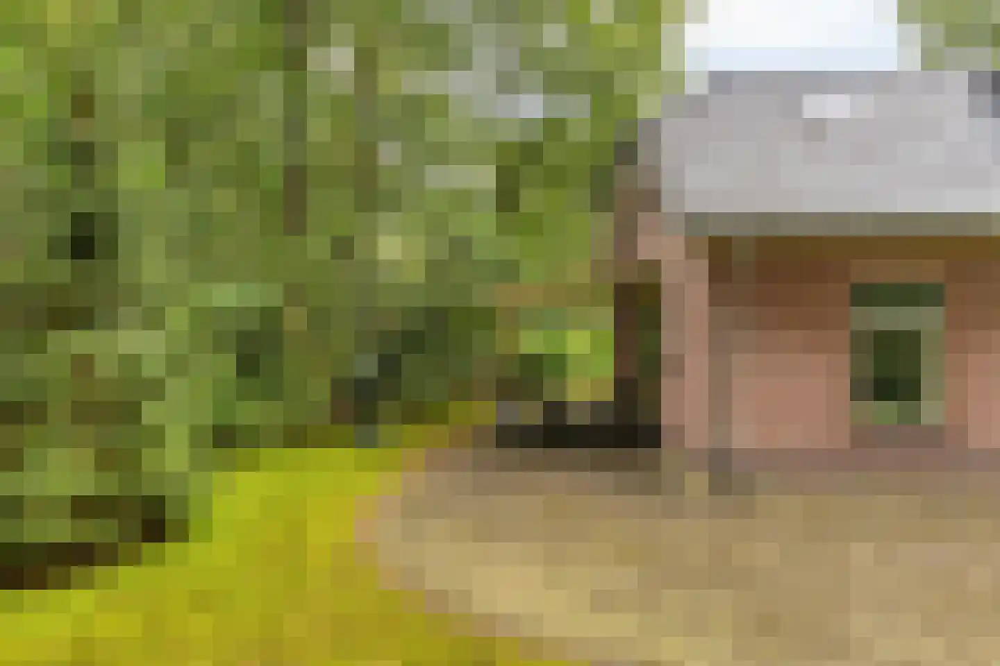 Vianenweg 160 14 Holten thumbnail 24