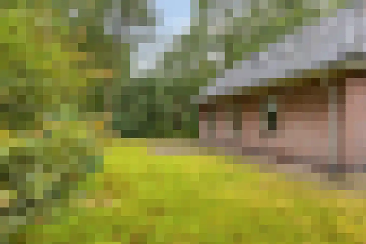 Vianenweg 160 14 Holten thumbnail 25