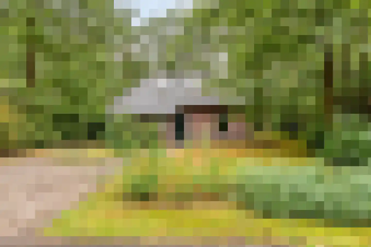 Vianenweg 160 14 Holten thumbnail 26