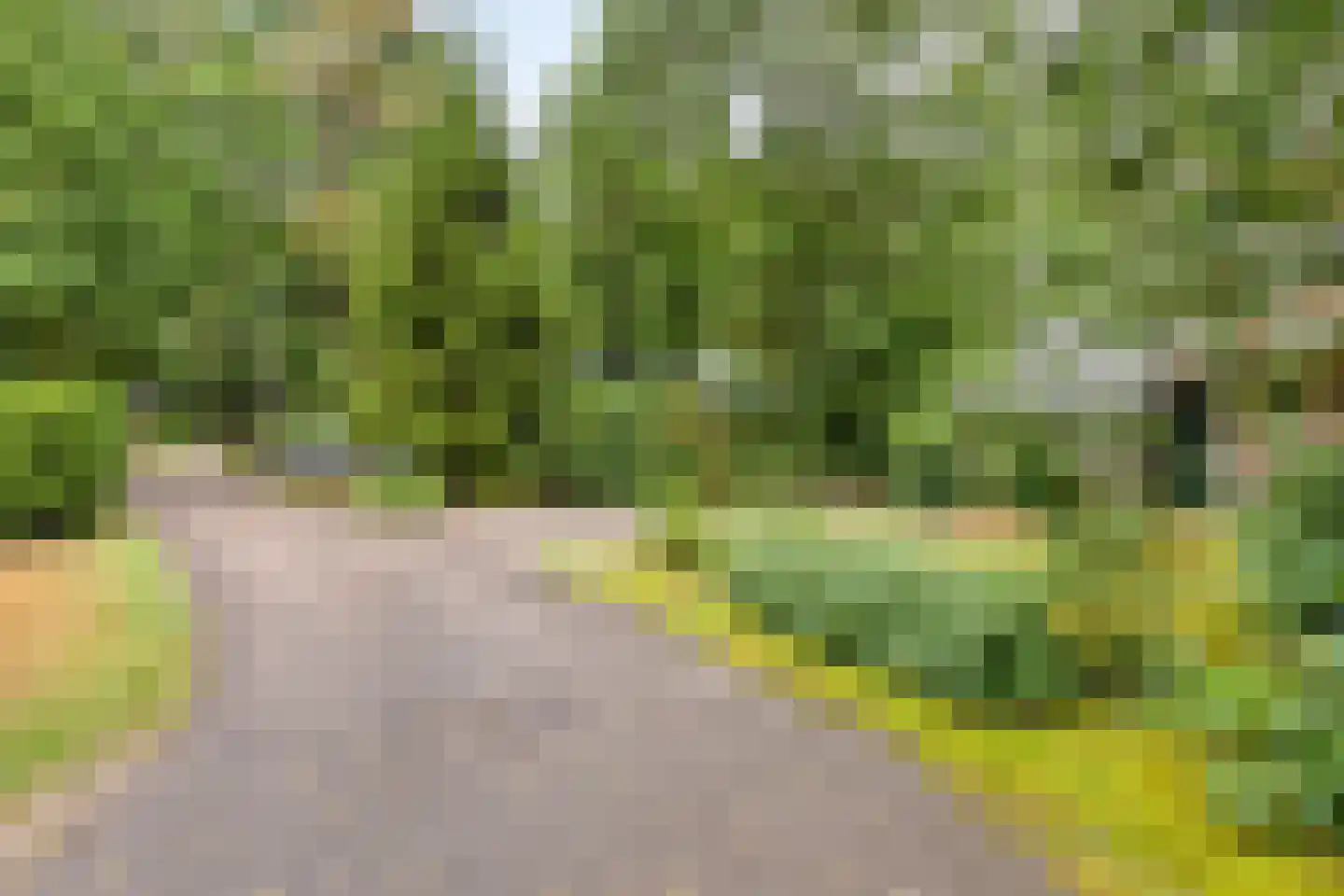 Vianenweg 160 14 Holten thumbnail 27
