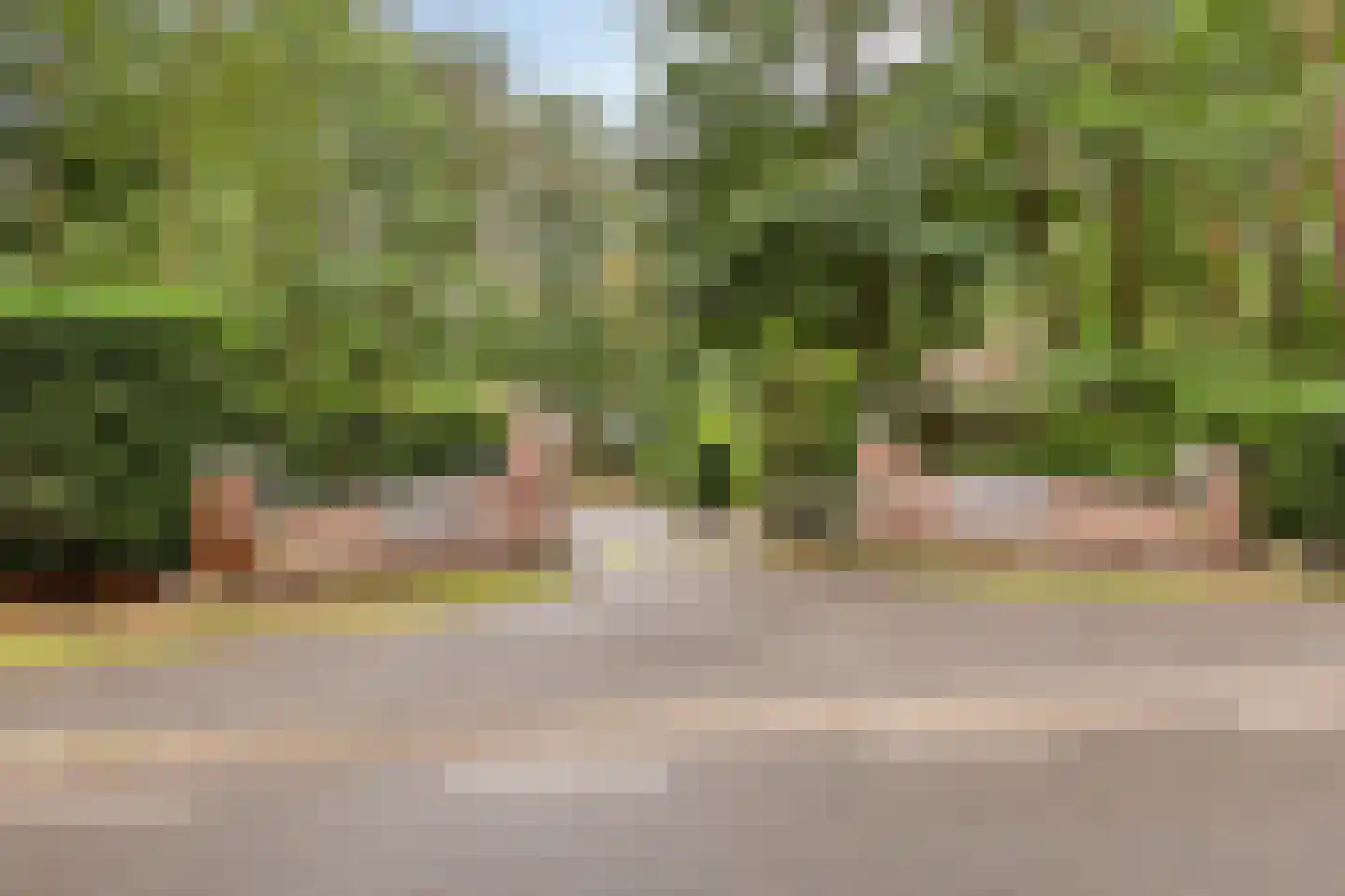 Vianenweg 160 14 Holten thumbnail 28