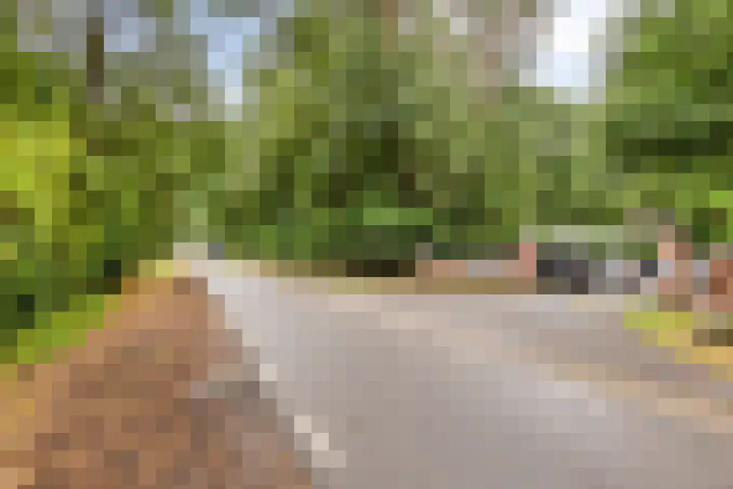 Vianenweg 160 14 Holten thumbnail 29