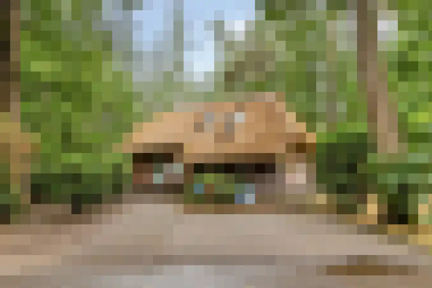 Vianenweg 160 14 Holten thumbnail 30