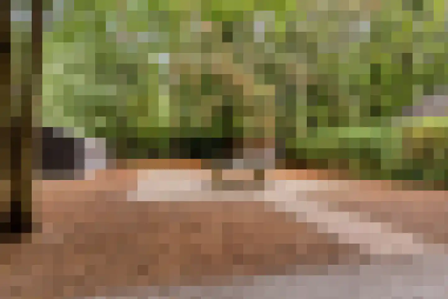 Vianenweg 160 14 Holten thumbnail 31