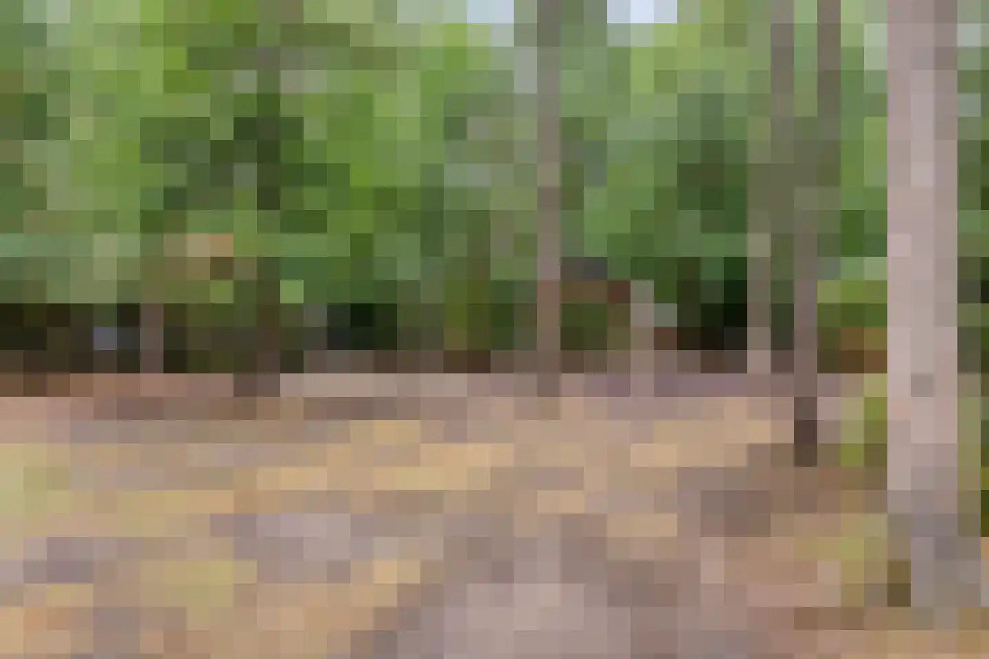 Vianenweg 160 14 Holten thumbnail 32