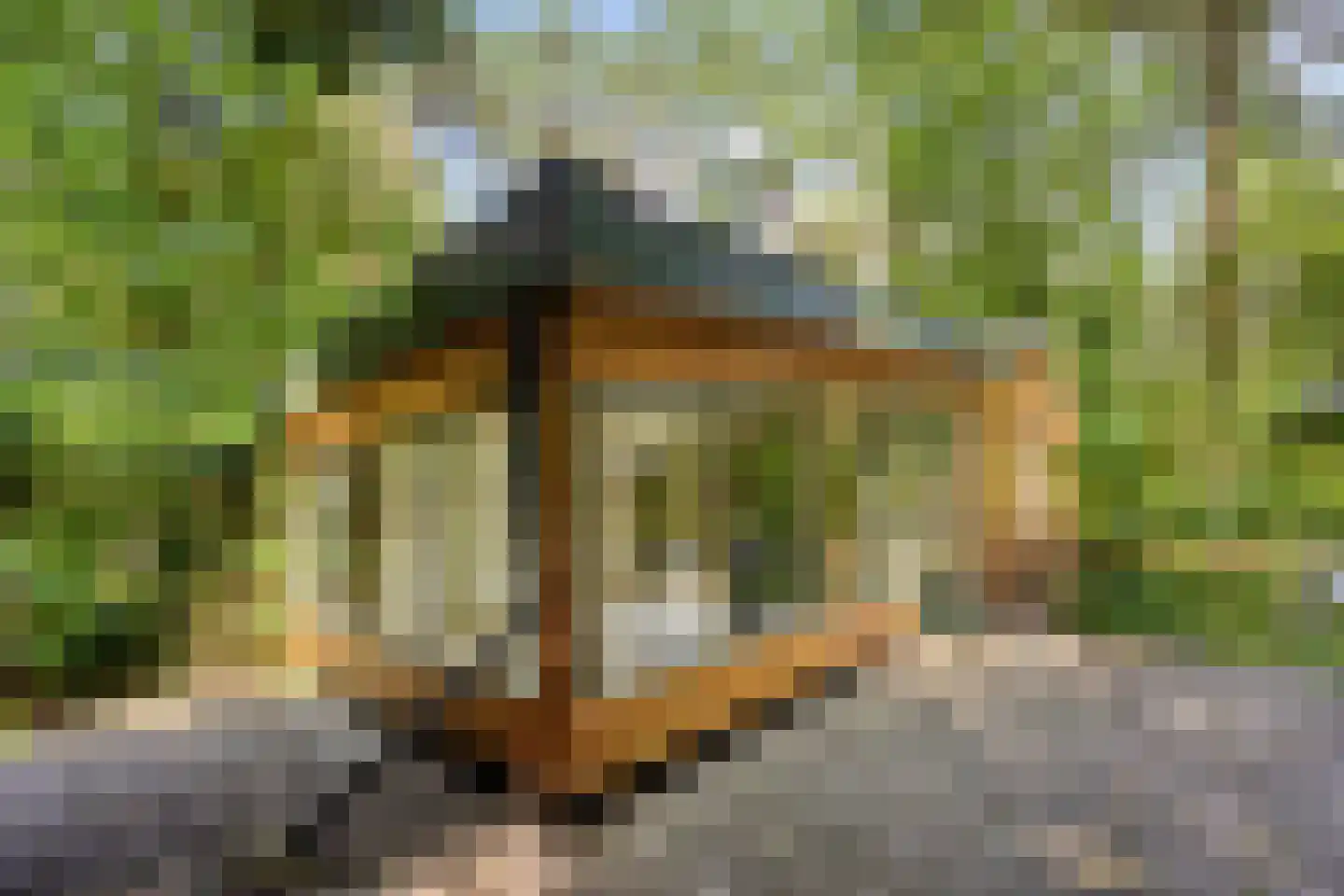 Vianenweg 202 Holten thumbnail 17