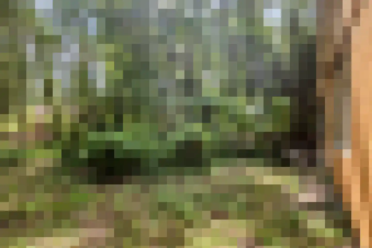Vianenweg 202 Holten thumbnail 18