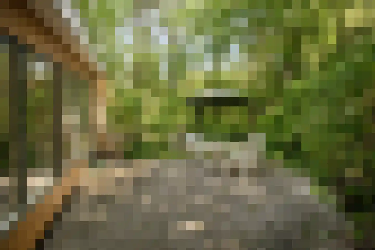 Vianenweg 202 Holten thumbnail 19