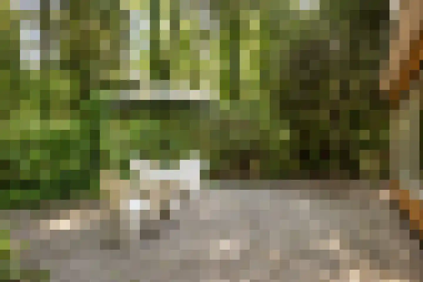Vianenweg 202 Holten thumbnail 20