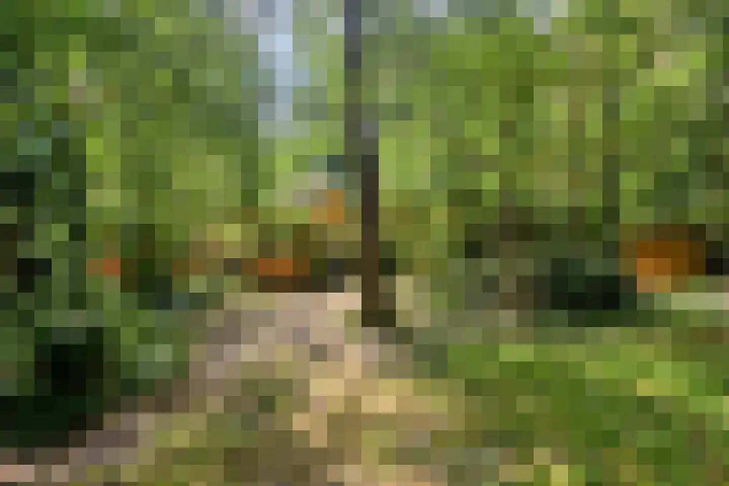 Vianenweg 202 Holten thumbnail 21