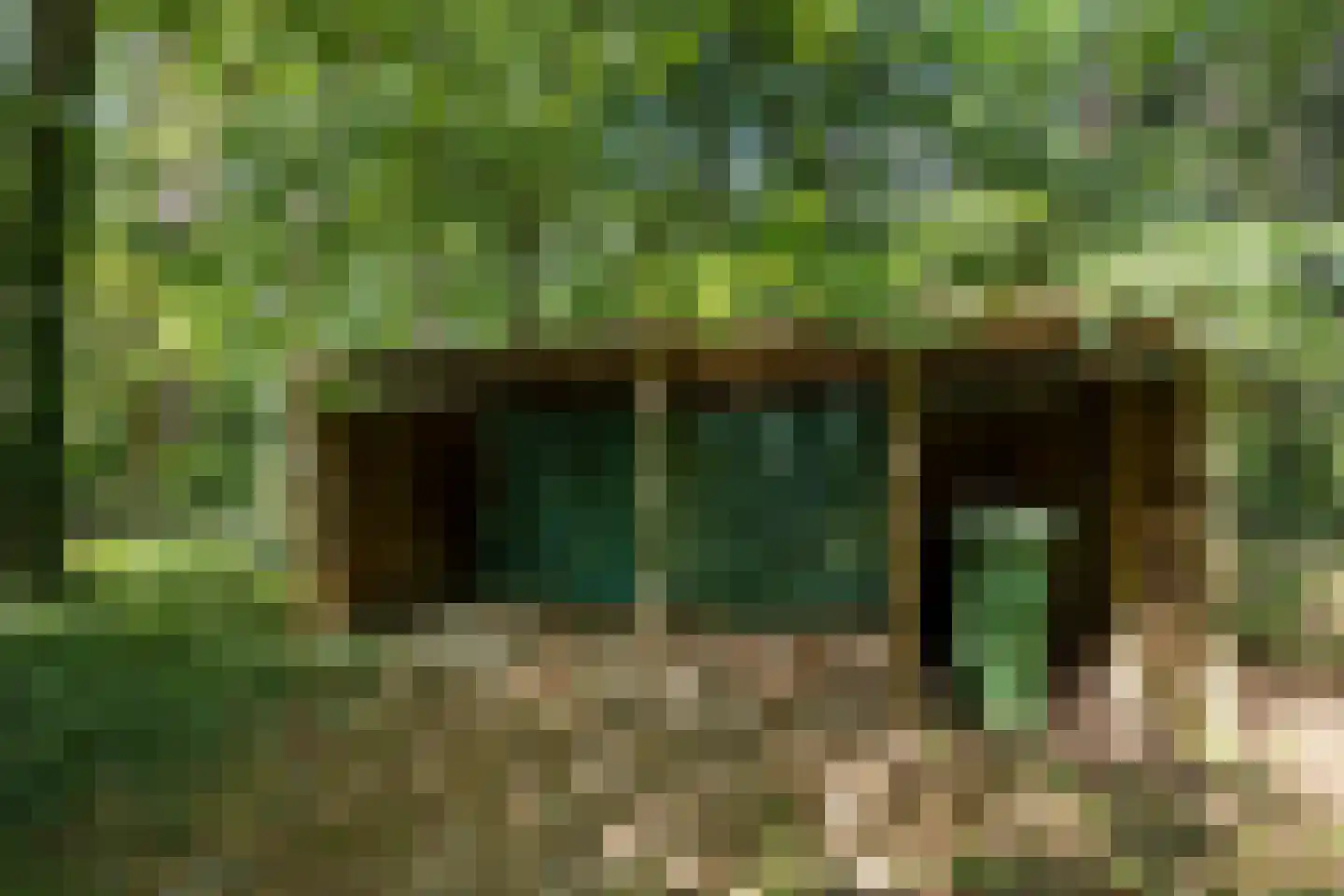 Vianenweg 202 Holten thumbnail 23