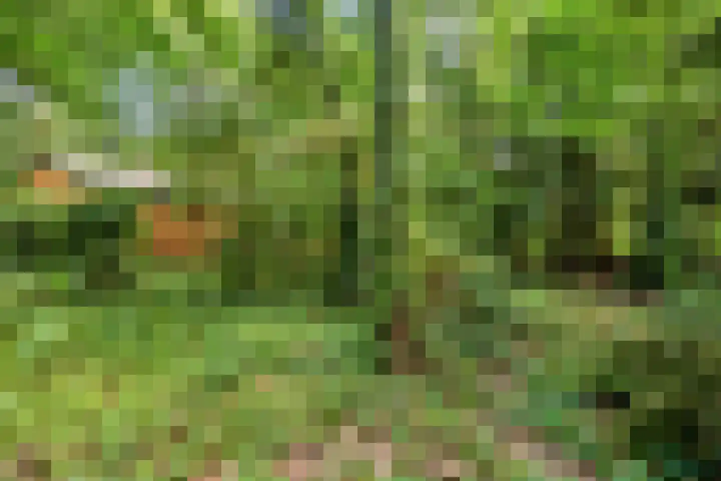 Vianenweg 202 Holten thumbnail 24