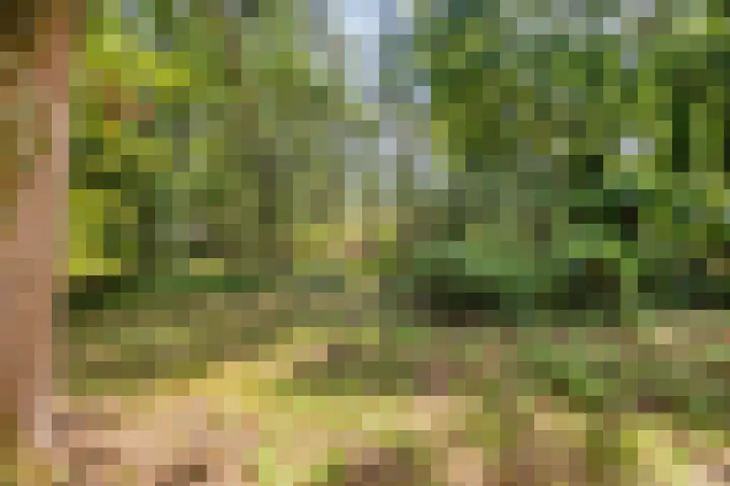 Vianenweg 202 Holten thumbnail 25