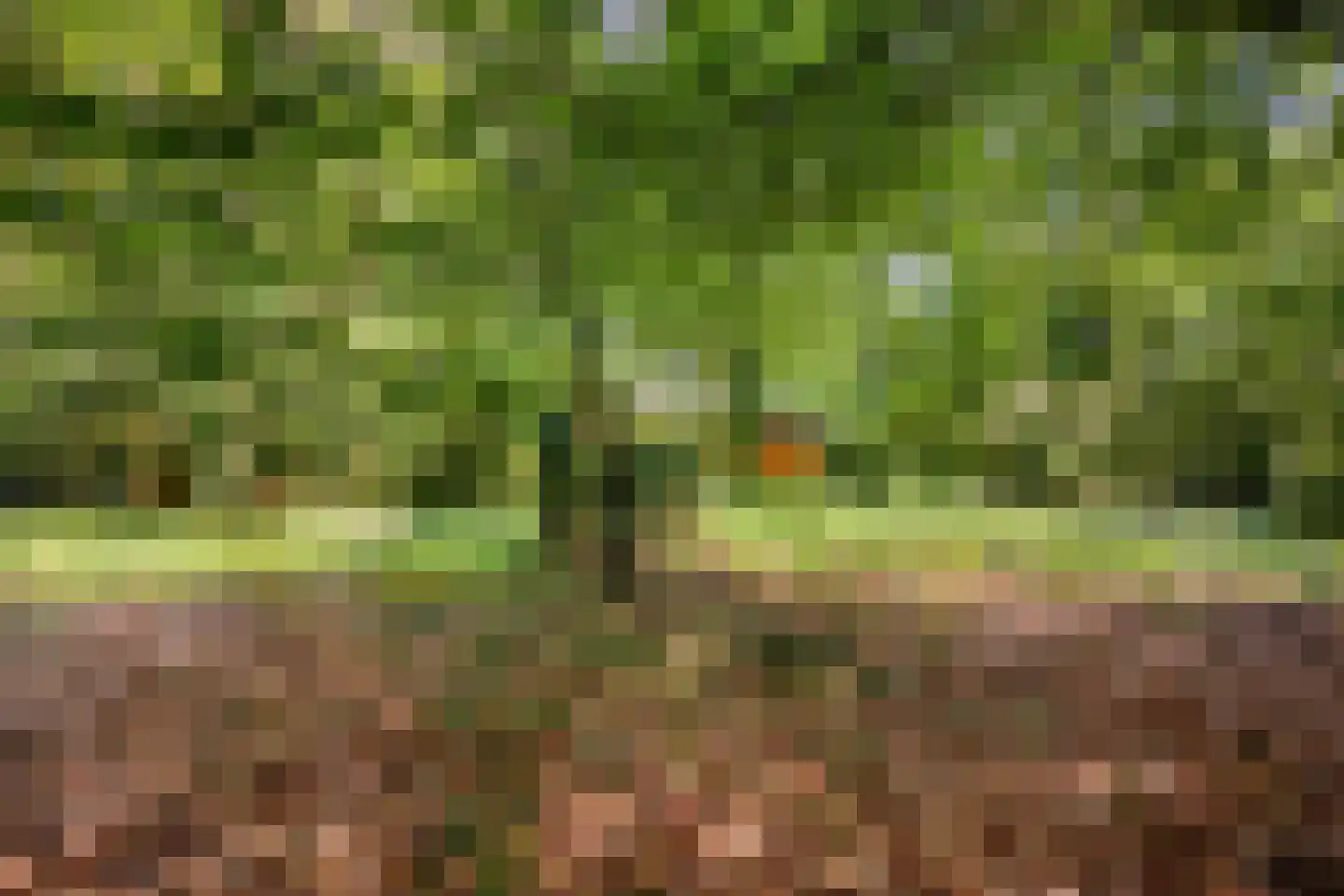 Vianenweg 202 Holten thumbnail 26