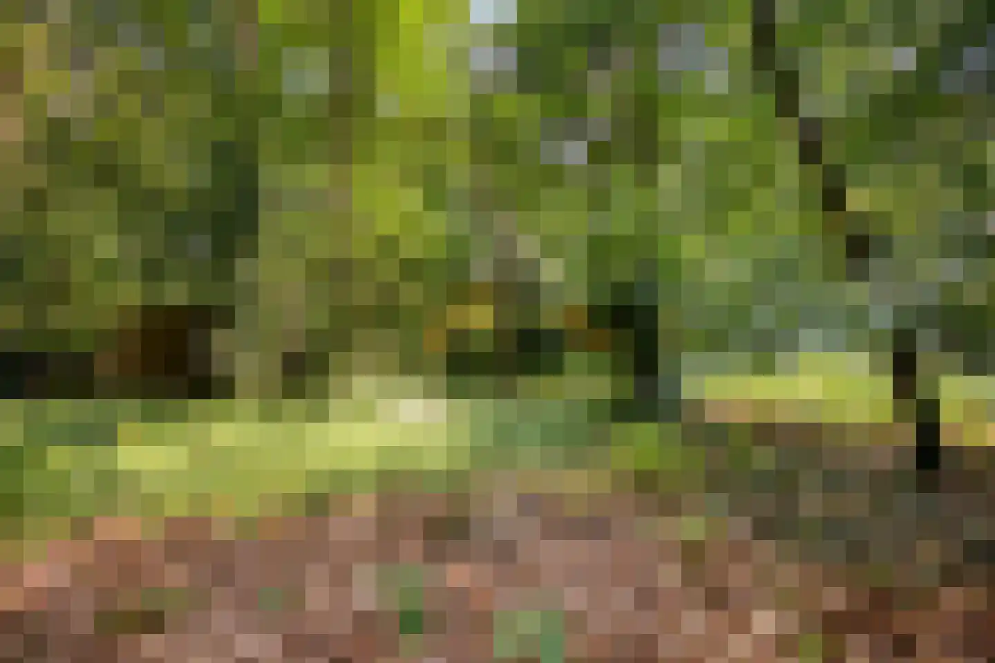 Vianenweg 202 Holten thumbnail 27