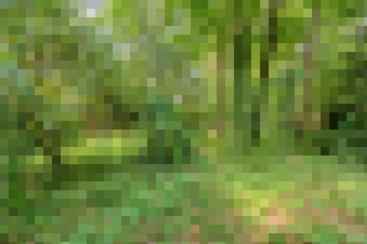 Vianenweg 202 Holten thumbnail 28