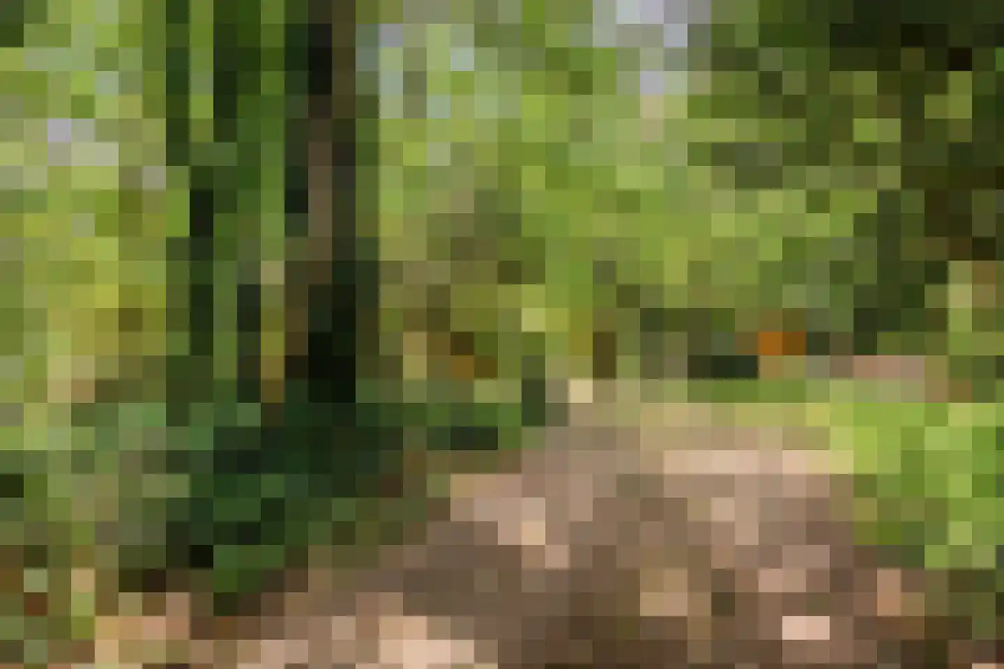 Vianenweg 202 Holten thumbnail 29