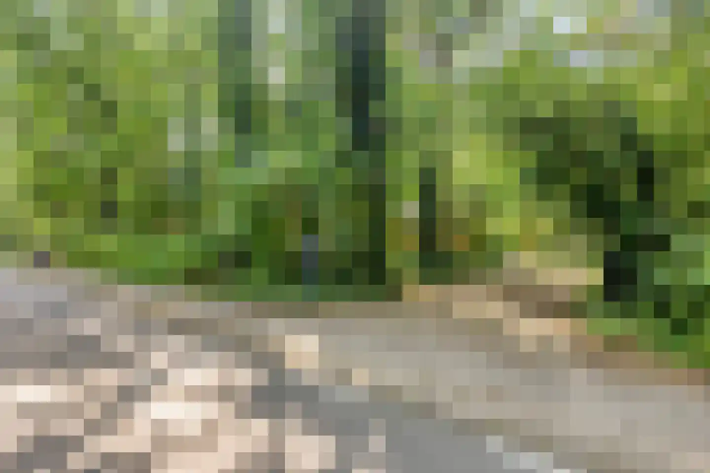 Vianenweg 202 Holten thumbnail 30