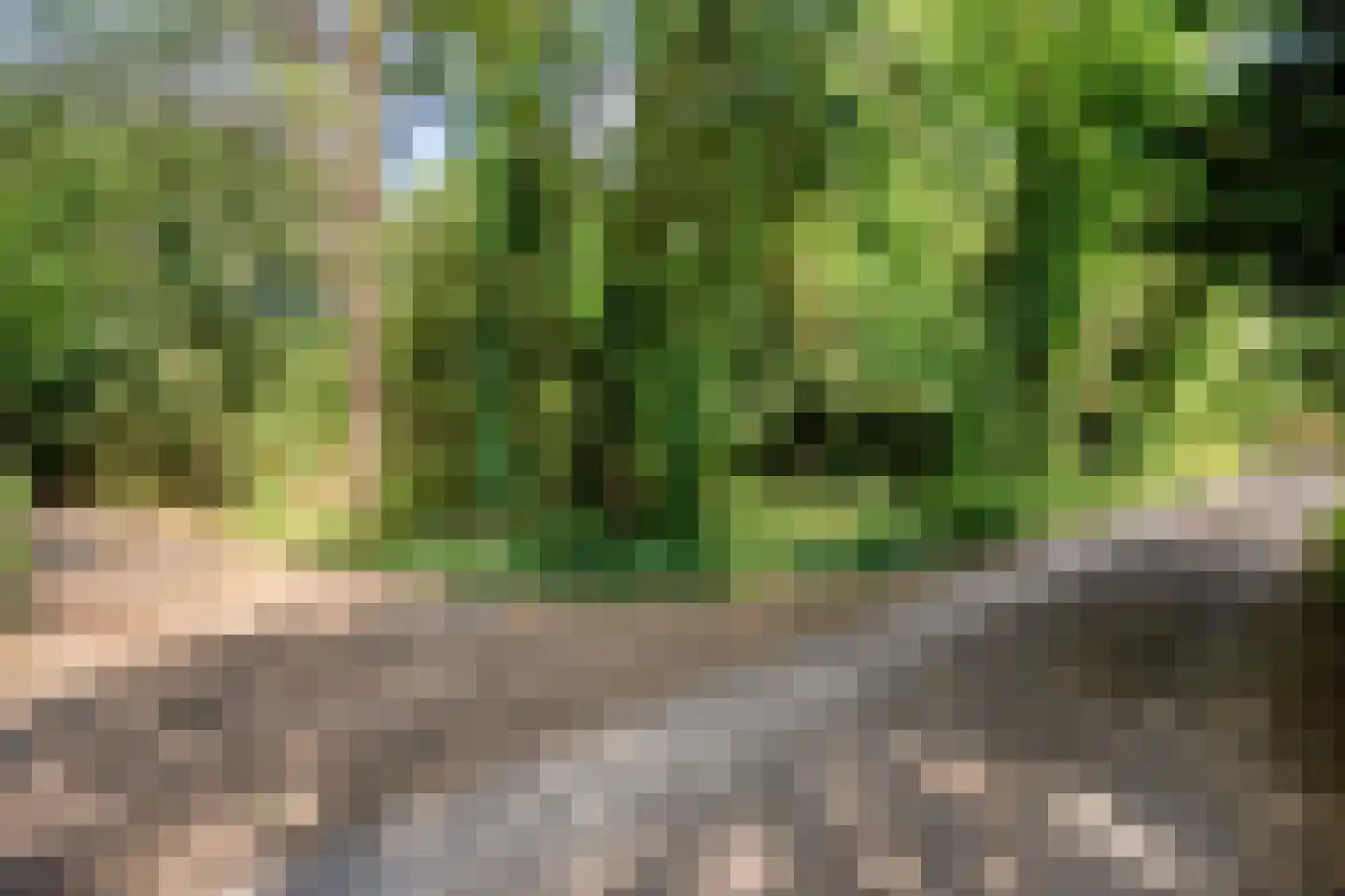 Vianenweg 202 Holten thumbnail 31
