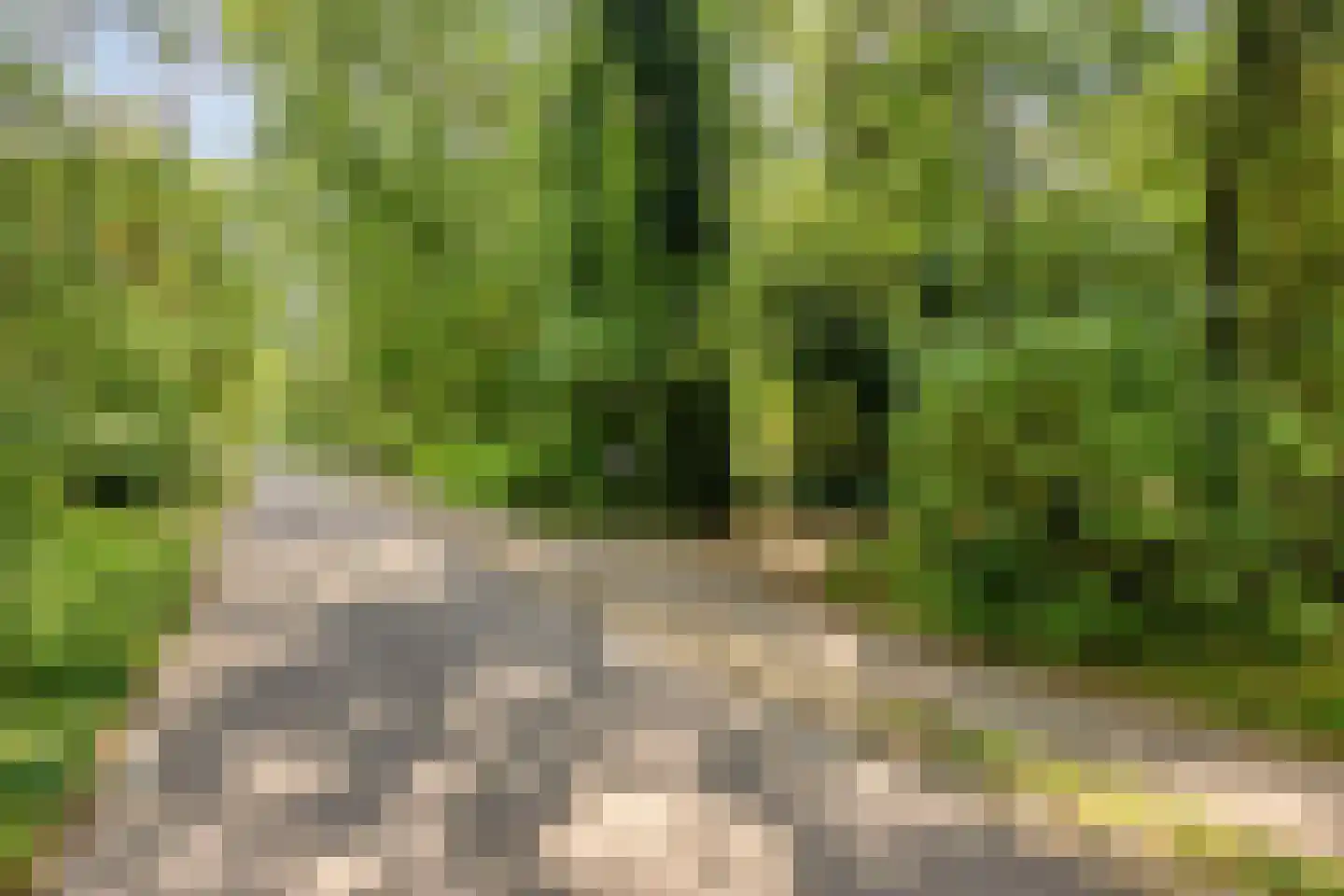 Vianenweg 202 Holten thumbnail 32