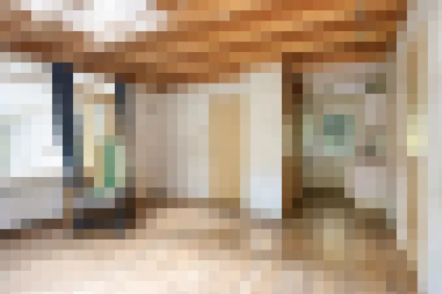 Vianenweg 202 Holten thumbnail 7