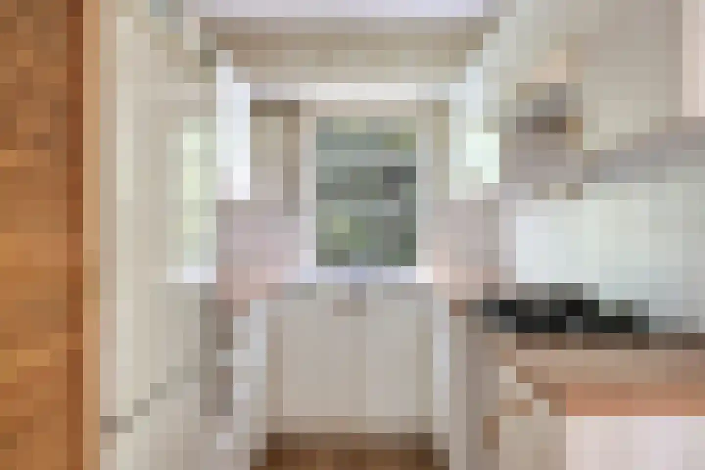 Vianenweg 202 Holten thumbnail 8