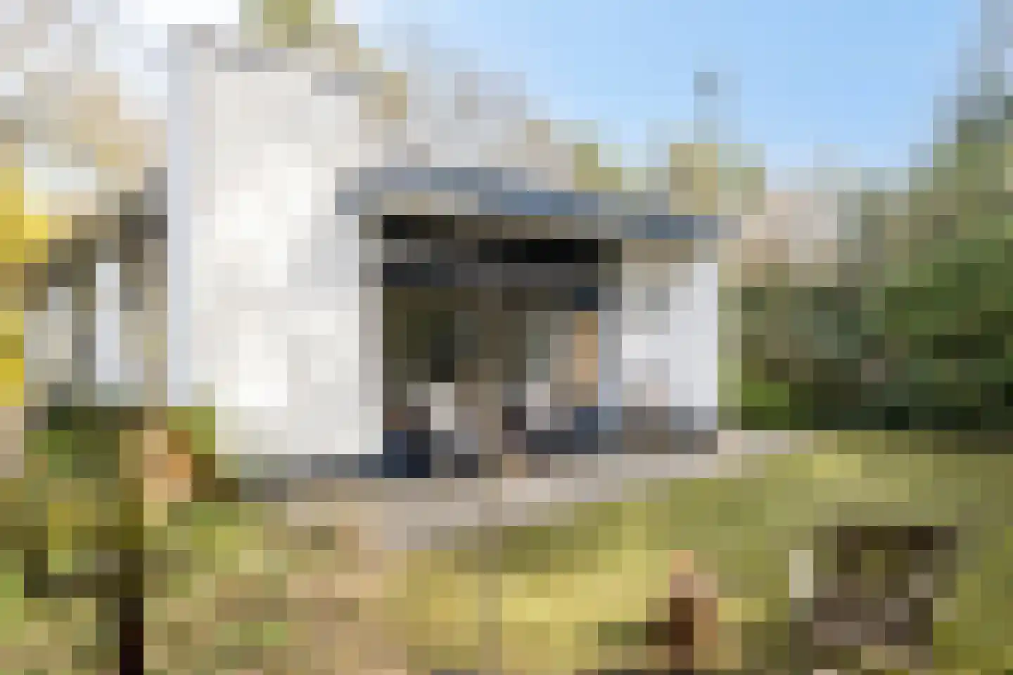 Vianenweg 21 Holten thumbnail 21