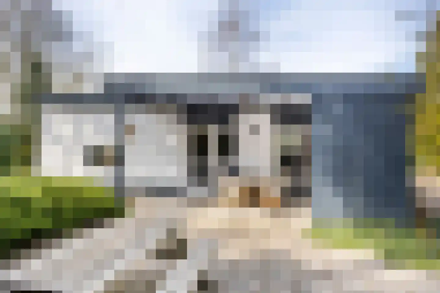 Vianenweg 21 Holten thumbnail 22