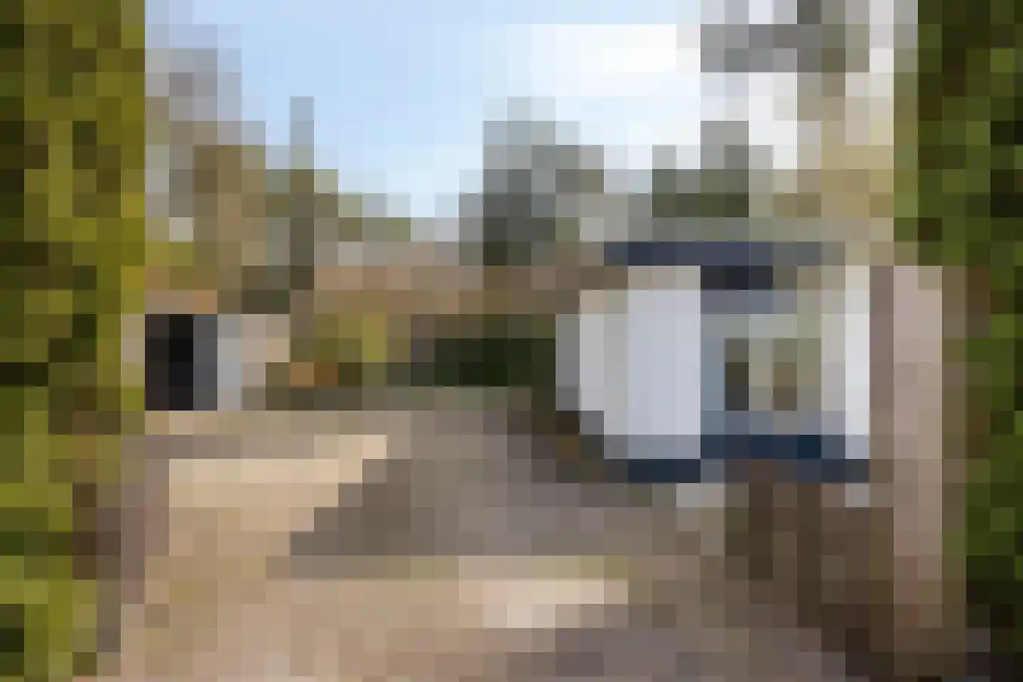 Vianenweg 21 Holten thumbnail 24