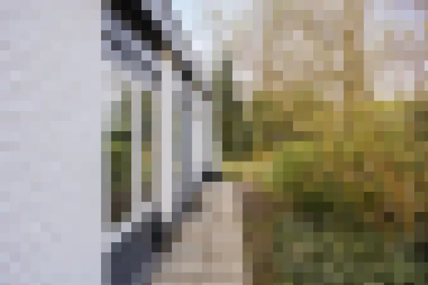 Vianenweg 21 Holten thumbnail 25