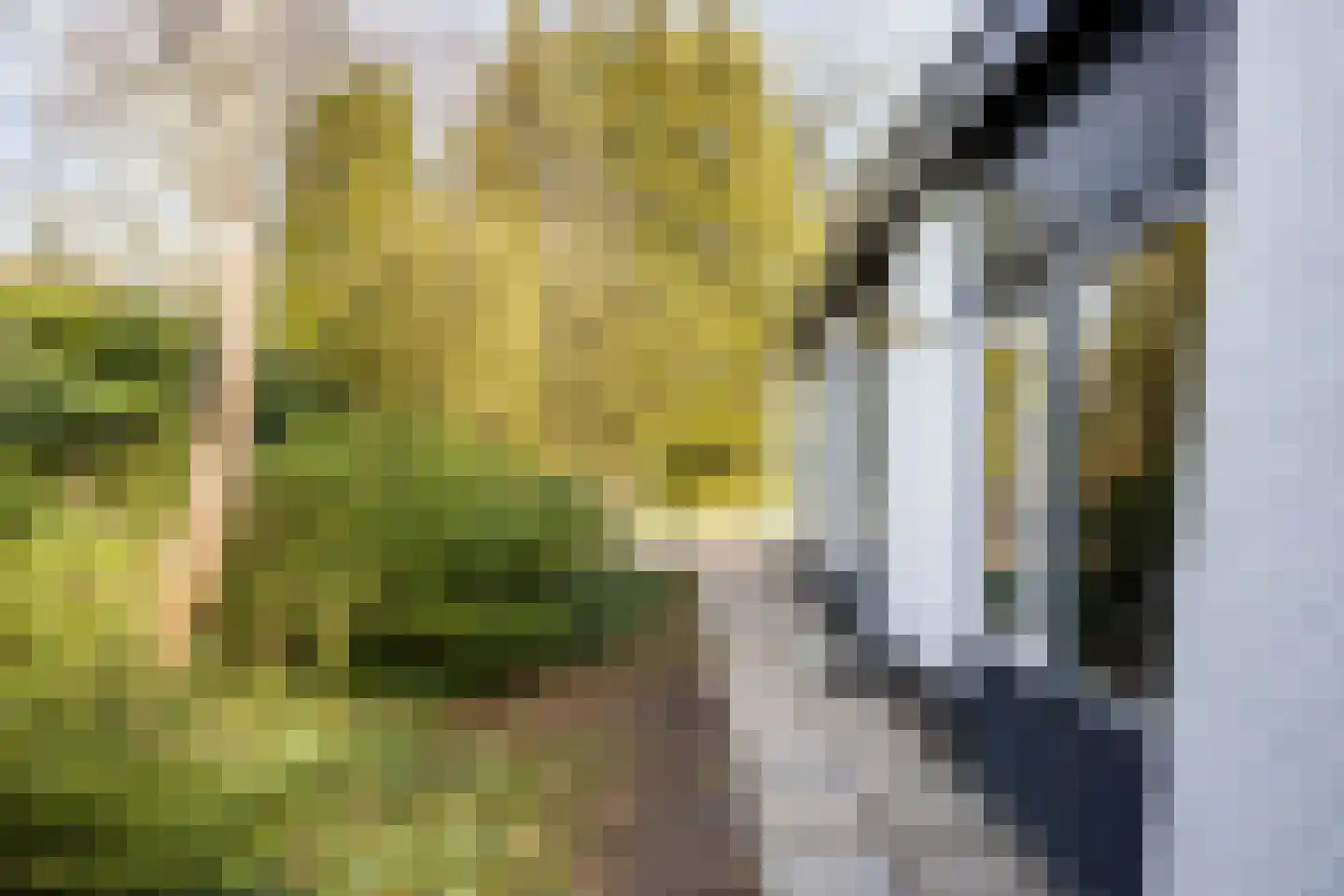 Vianenweg 21 Holten thumbnail 26