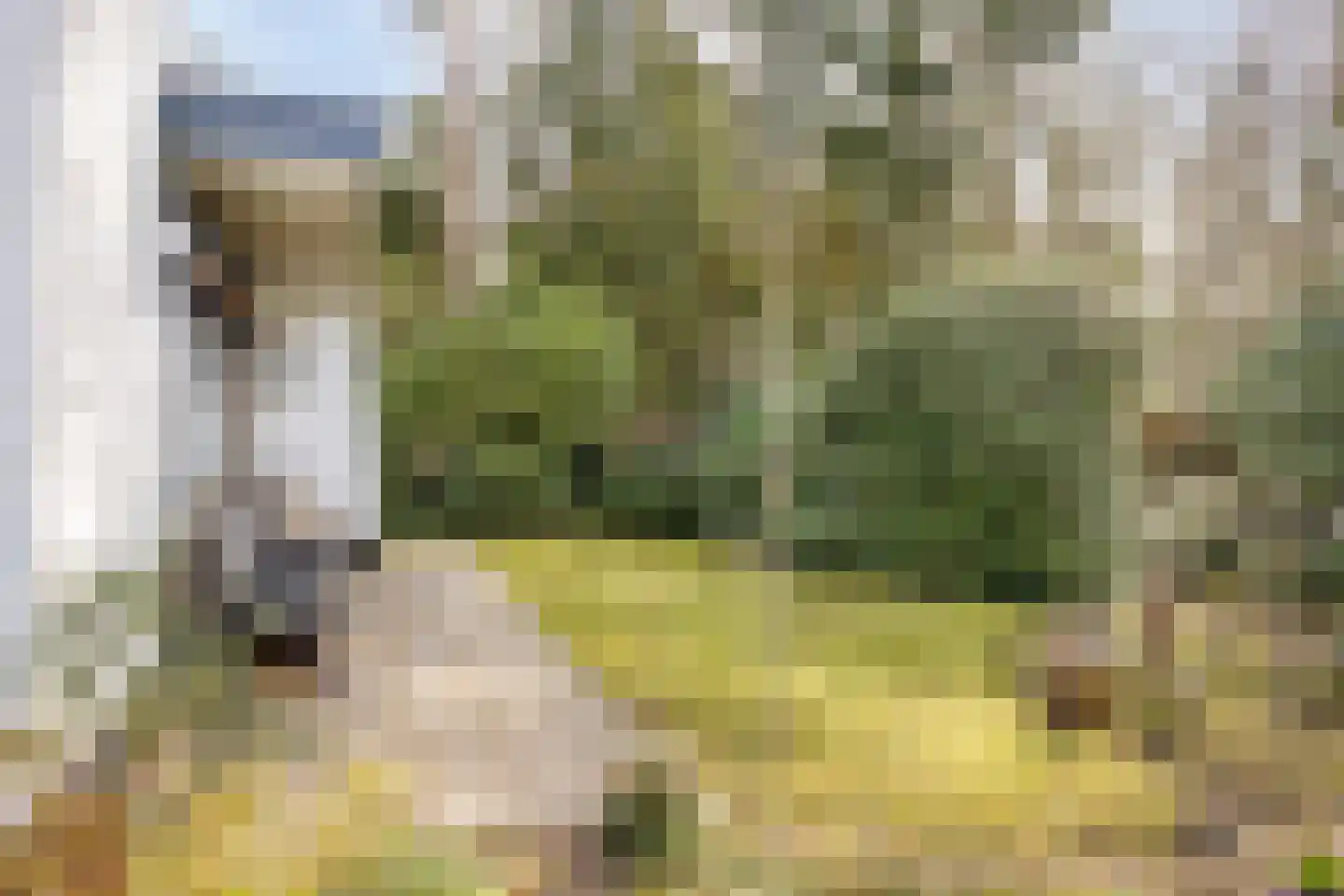 Vianenweg 21 Holten thumbnail 27