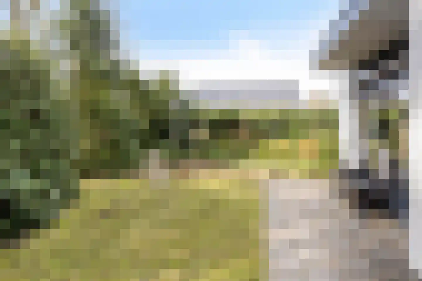 Vianenweg 21 Holten thumbnail 28