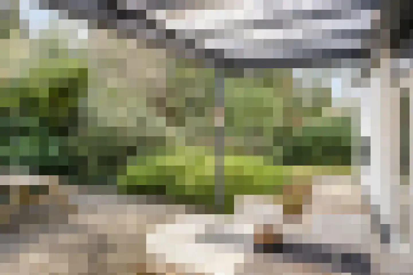 Vianenweg 21 Holten thumbnail 34