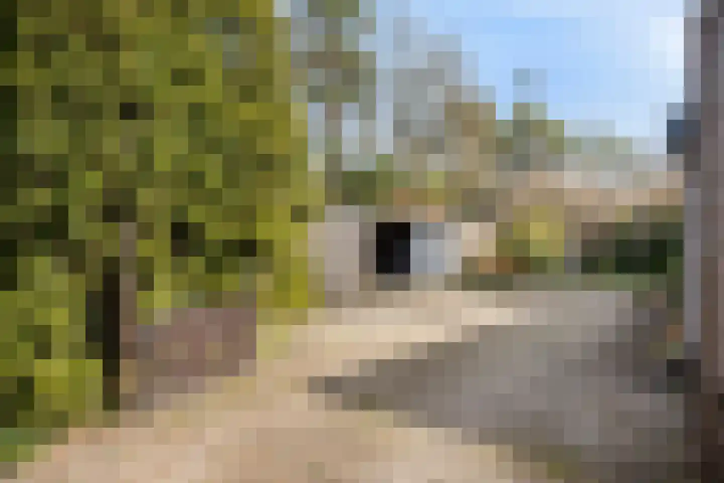 Vianenweg 21 Holten thumbnail 37